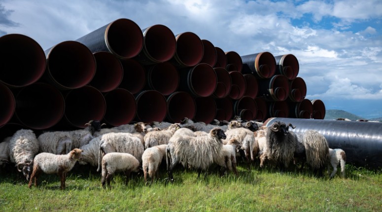 Slika za Ekološke i lokalne dileme na fotograiji “Ovce i cijevi čekaju zatvaranje Poglavlja 27”